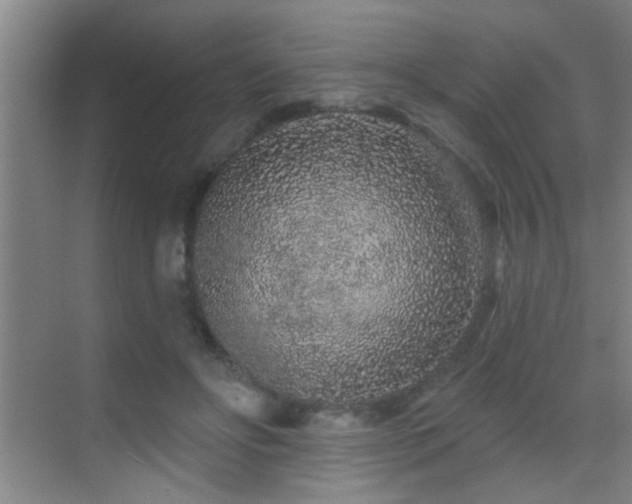 X0000069790502200605191042