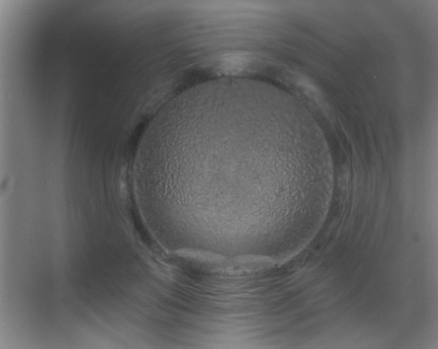 X0000069790503200605191042