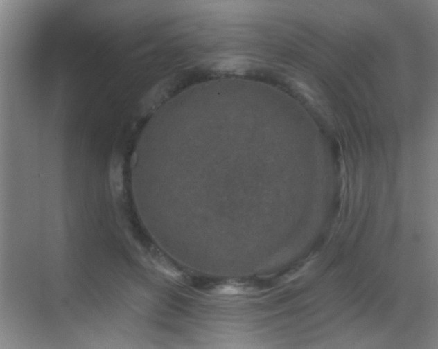 X0000069790504200605191042