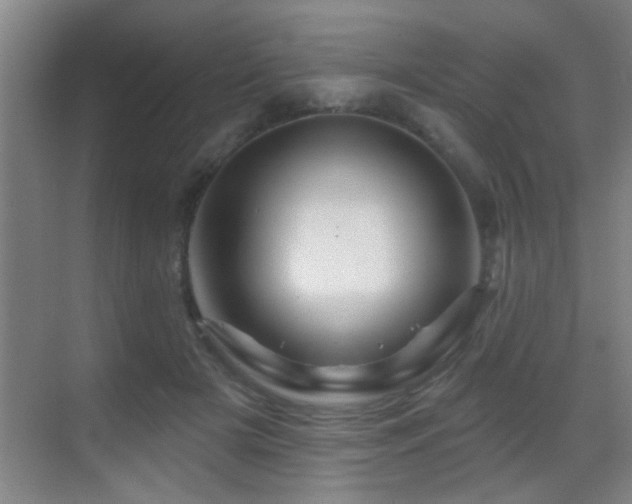 X0000069790505200605191042