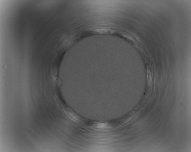 X0000069790507200605191042