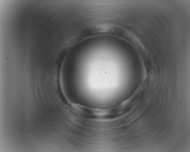 X0000069790509200605191042