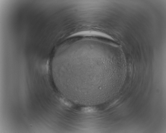 X0000069790511200605191042