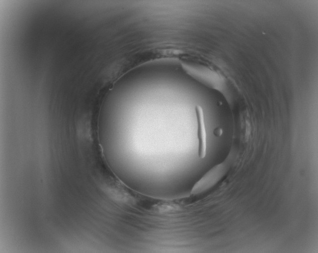 X0000069790512200605191042