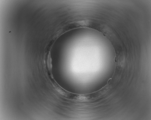 X0000069790518200605191042