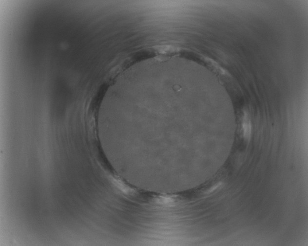 X0000069790523200605191041