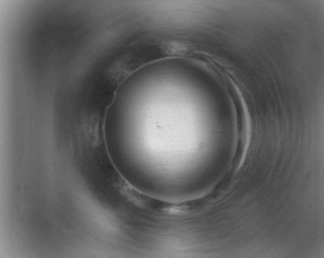 X0000069790525200605191041