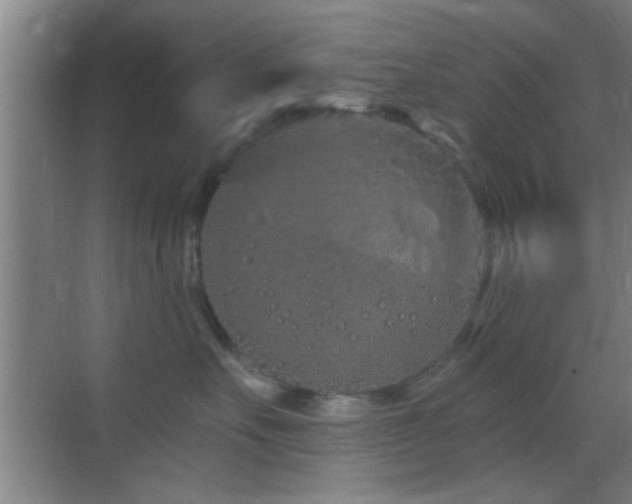 X0000069790527200605191041