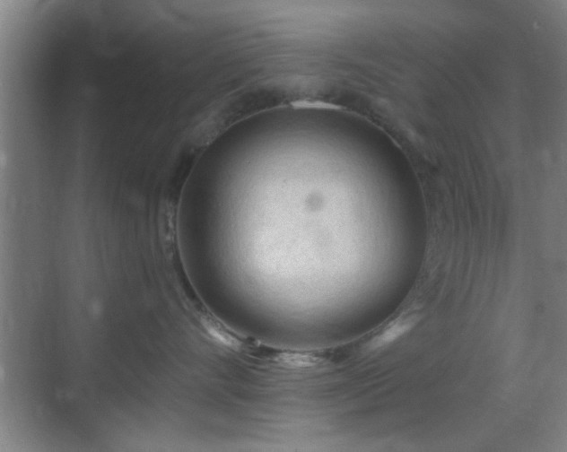 X0000069790528200605191041