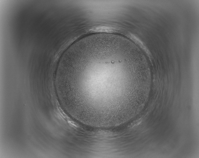 X0000069790529200605191041