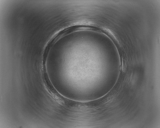 X0000069790531200605191041