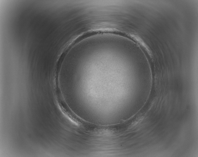 X0000069790533200605191041