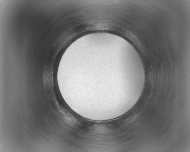 X0000069790534200605191041