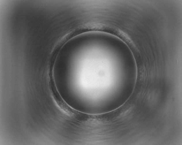 X0000069790538200605191041