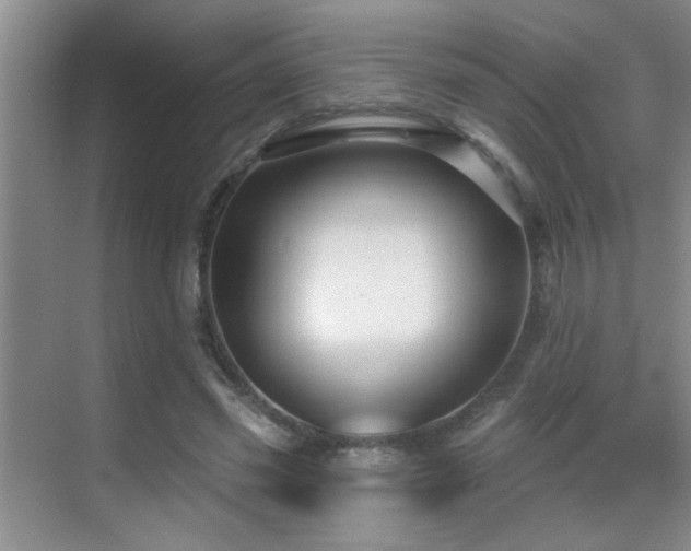 X0000069790541200605191041