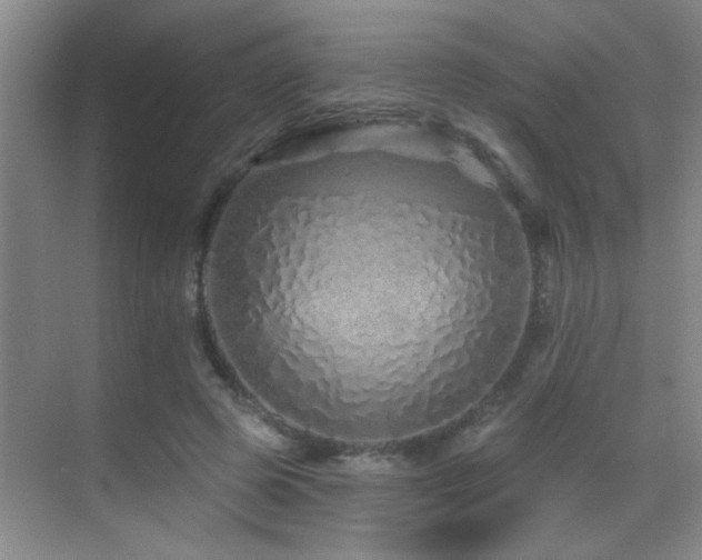 X0000069790545200605191041