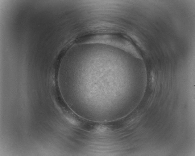 X0000069790547200605191041