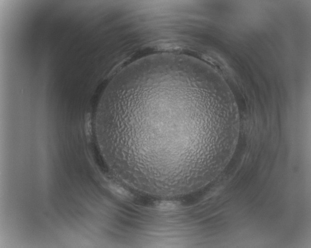 X0000069790549200605191041