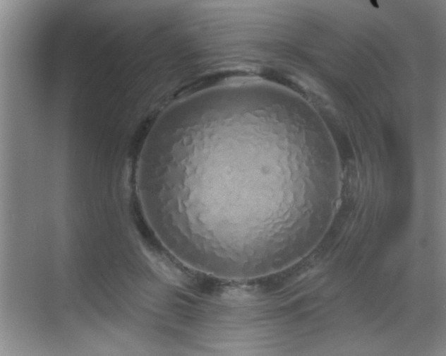 X0000069790550200605191041