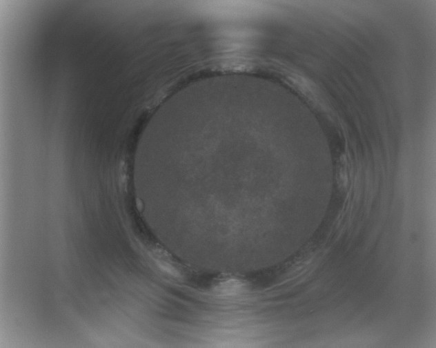 X0000069790551200605191041