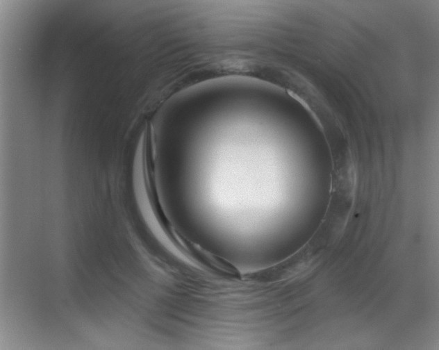 X0000069790552200605191041