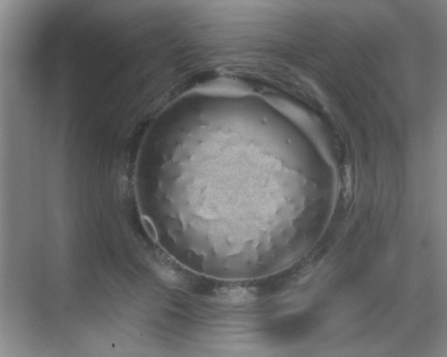 X0000069790553200605191041