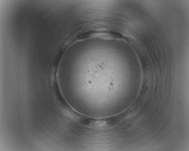 X0000069790554200605191041