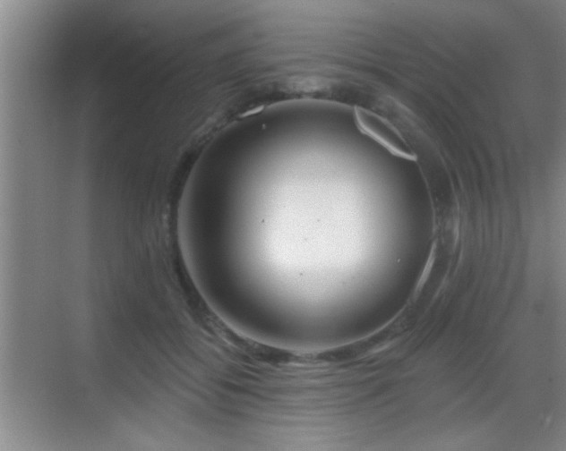 X0000069790556200605191041