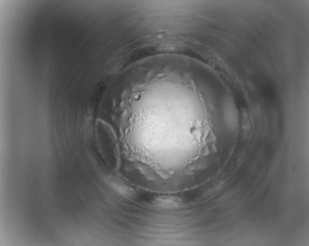 X0000069790557200605191041