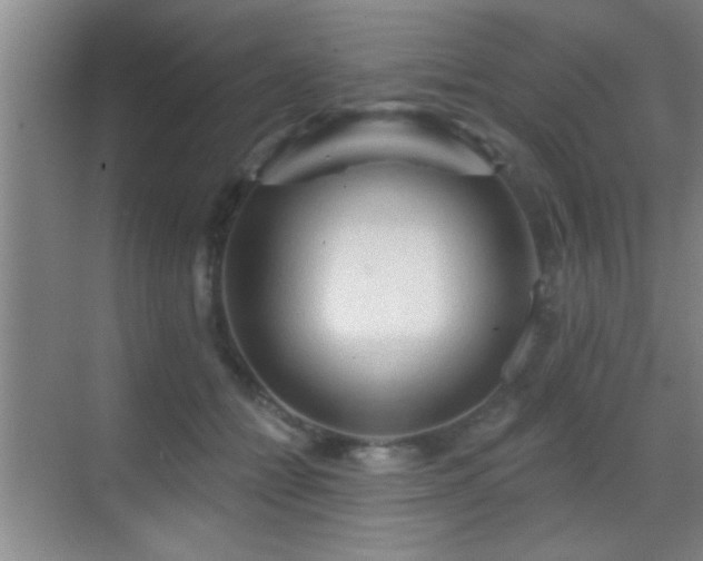 X0000069790558200605191041