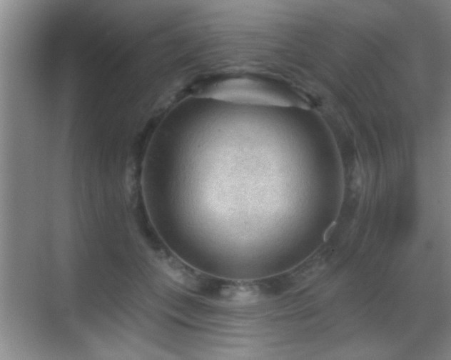 X0000069790559200605191041