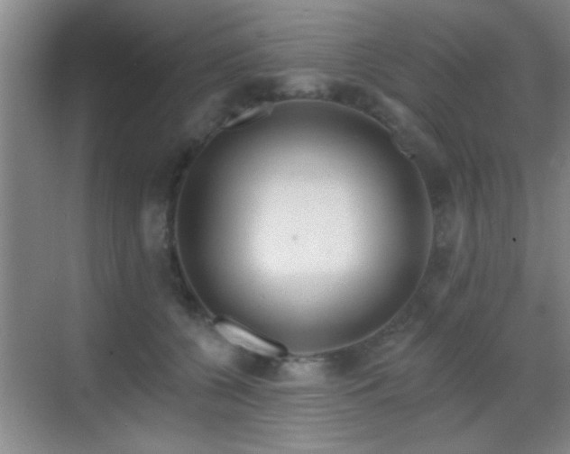 X0000069790560200605191041