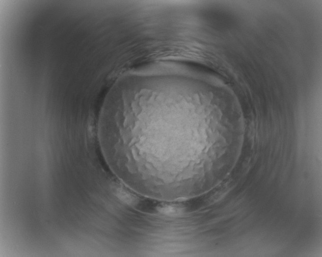 X0000069790561200605191041