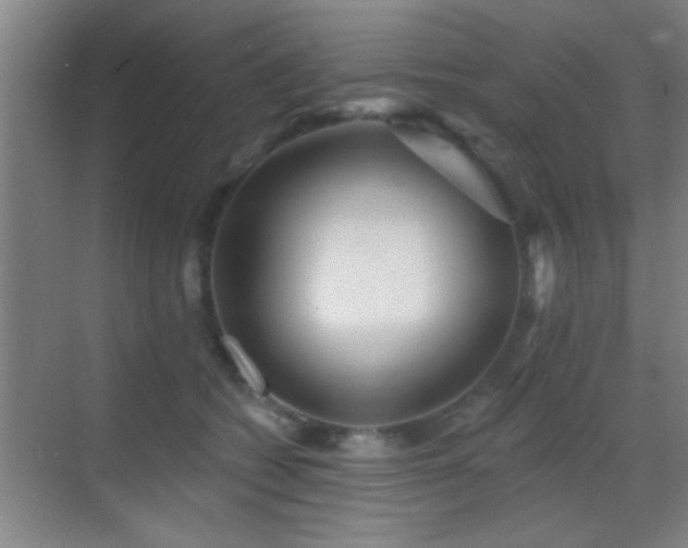 X0000069790562200605191041