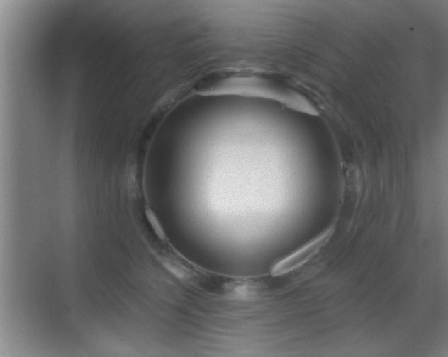 X0000069790564200605191041