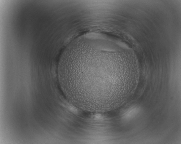 X0000069790565200605191041