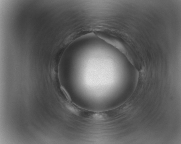 X0000069790566200605191041