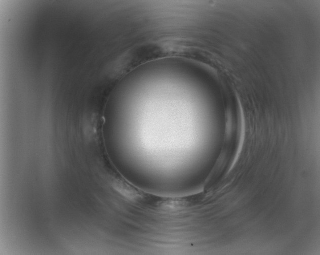 X0000069790567200605191041