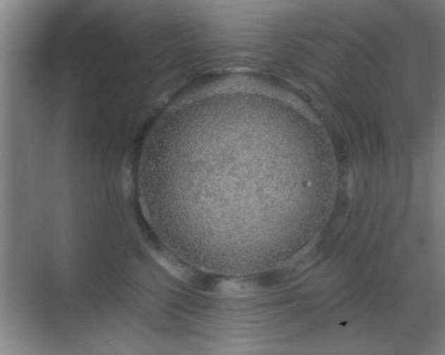 X0000069790568200605191041