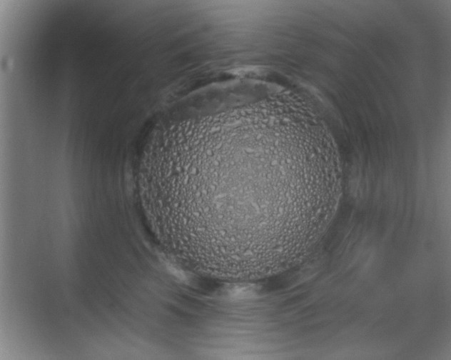 X0000069790569200605191041