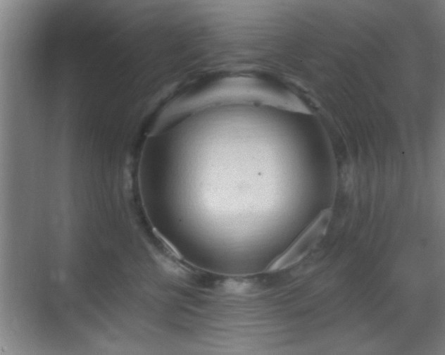 X0000069790570200605191041