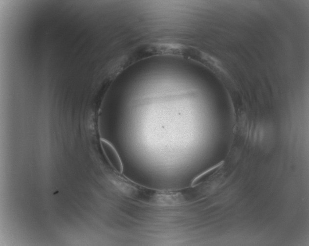 X0000069790571200605191041