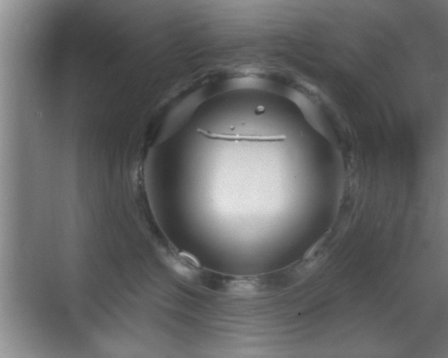 X0000069790574200605191041