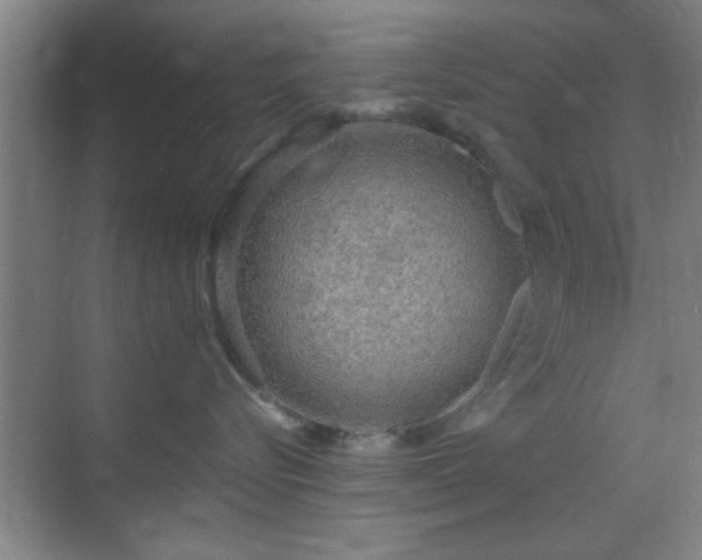 X0000069790576200605191041