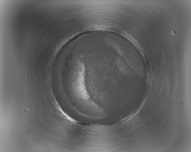 X0000069790577200605191041