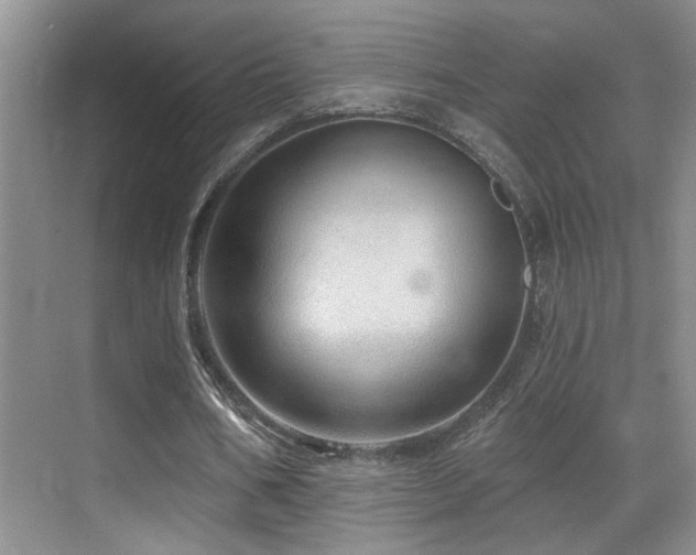 X0000069790578200605191041