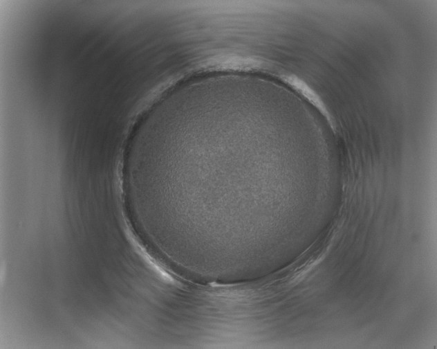 X0000069790581200605191040