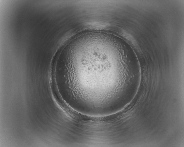 X0000069790582200605191040