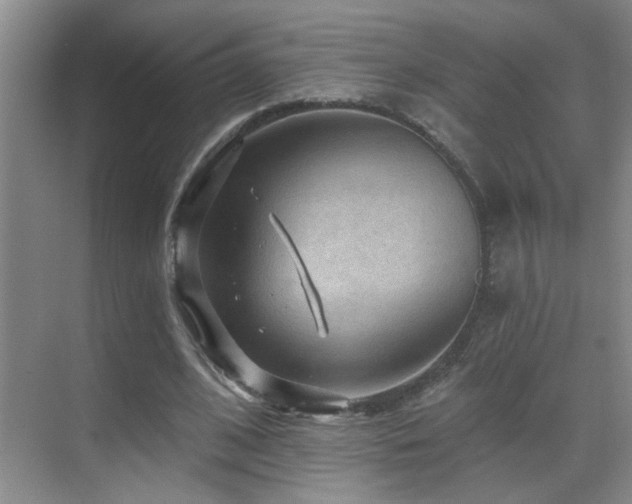 X0000069790584200605191040