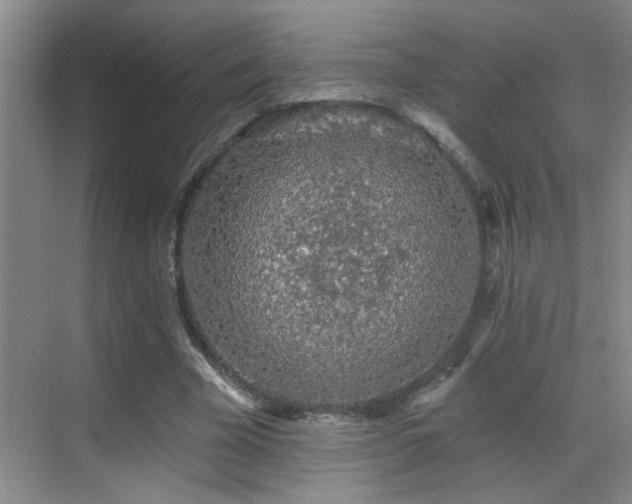 X0000069790585200605191040